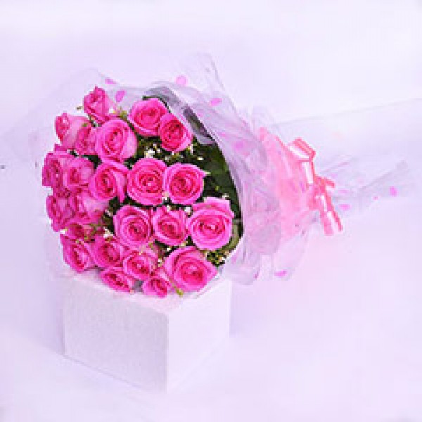 All Pink Rose Flowers