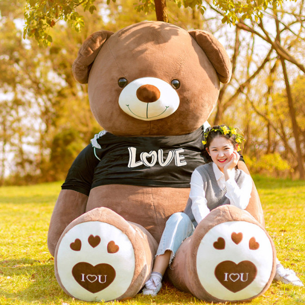 Huge Cuddly Love Teddy Bear(160cm)